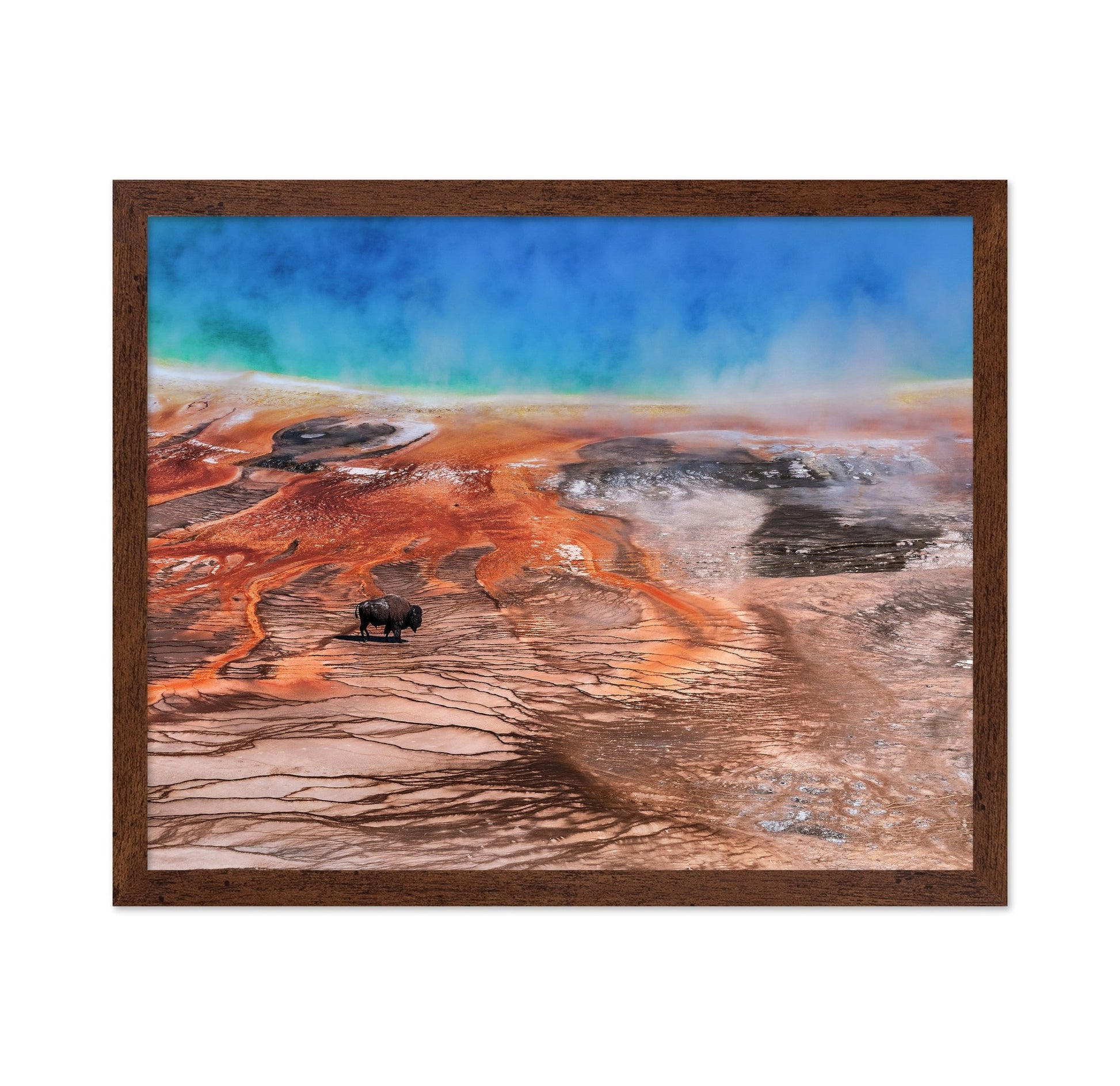 Thermal Bison Plains