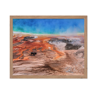 Thermal Bison Plains