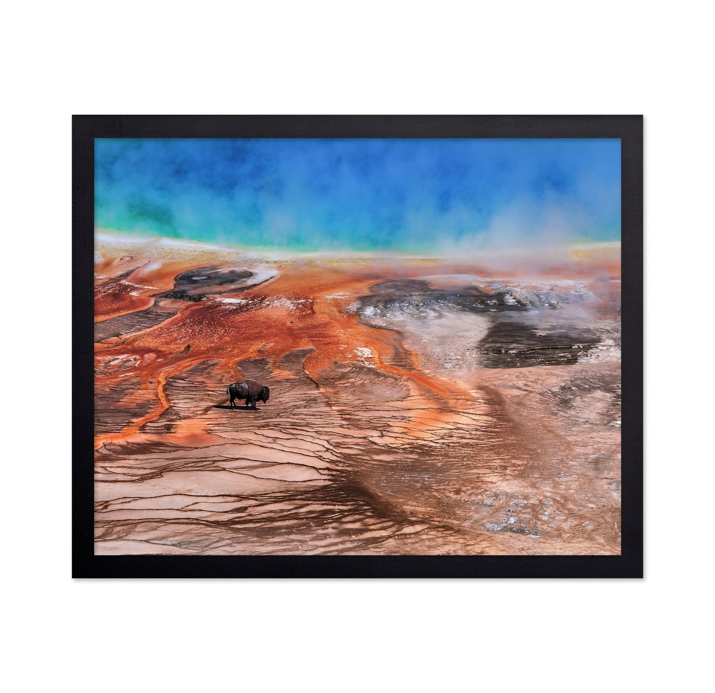 Thermal Bison Plains