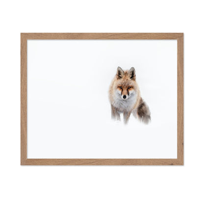 Snow Fox Portrait