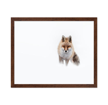 Snow Fox Portrait