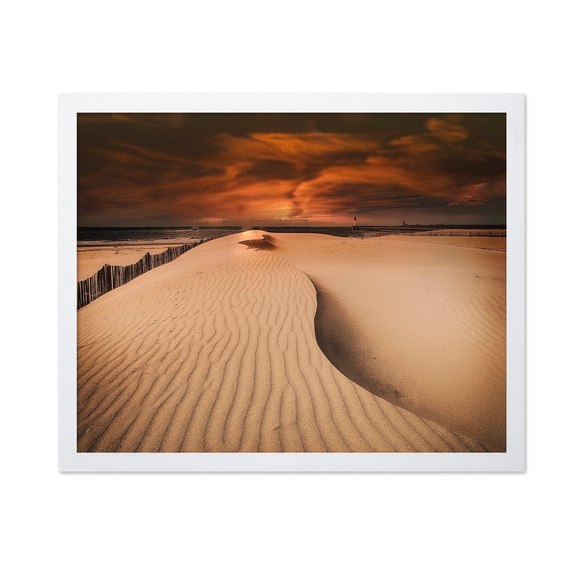 Golden Dune Sunset