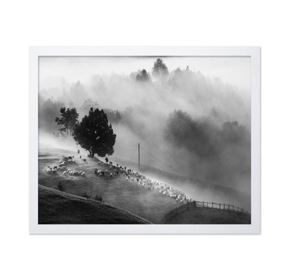 Shepherd Mist Walk