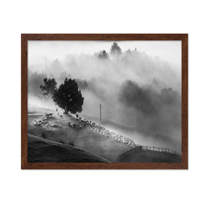Shepherd Mist Walk