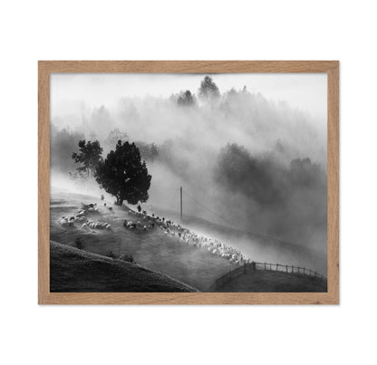 Shepherd Mist Walk
