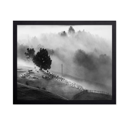 Shepherd Mist Walk