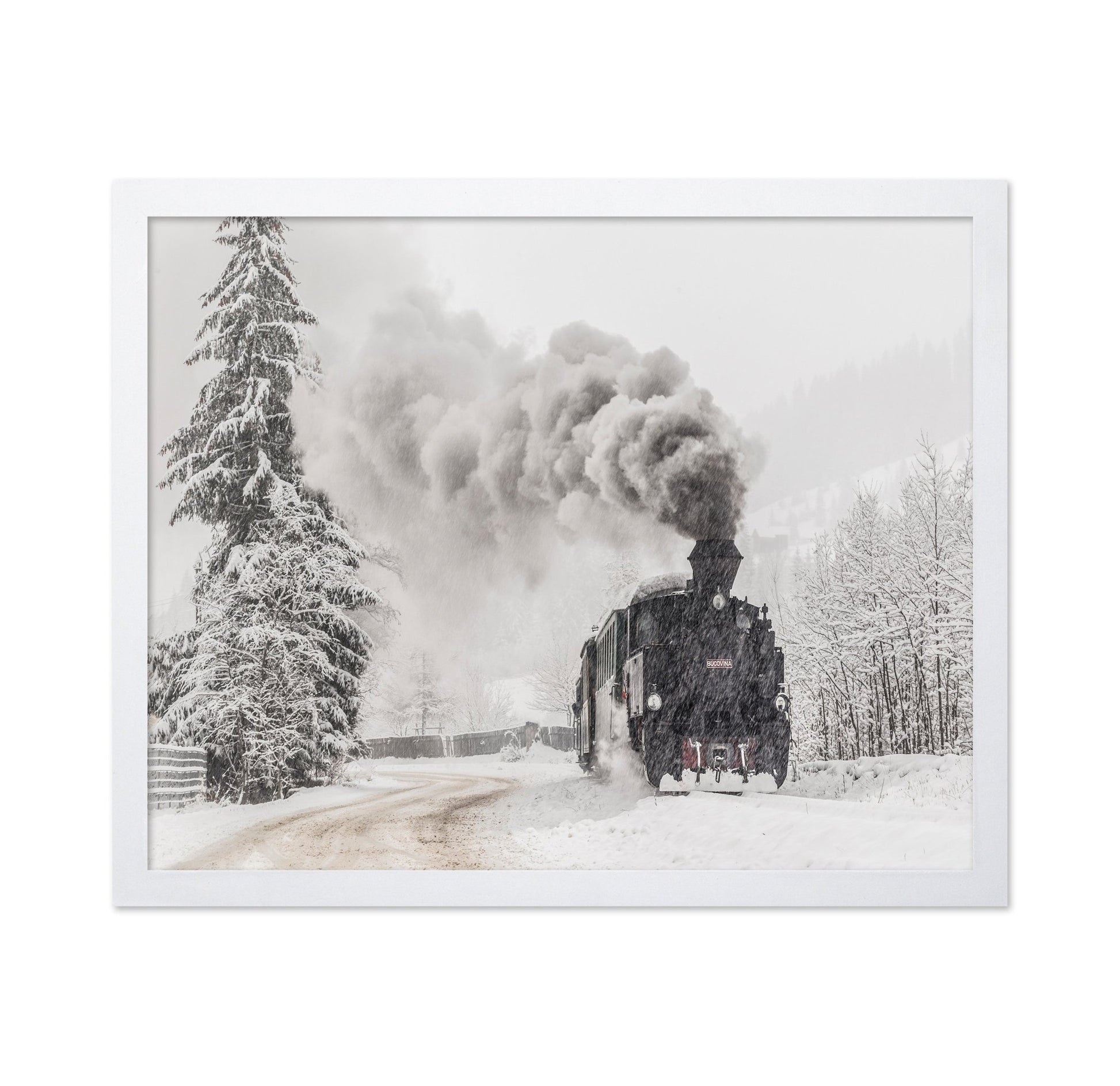 Snow Steam Journey