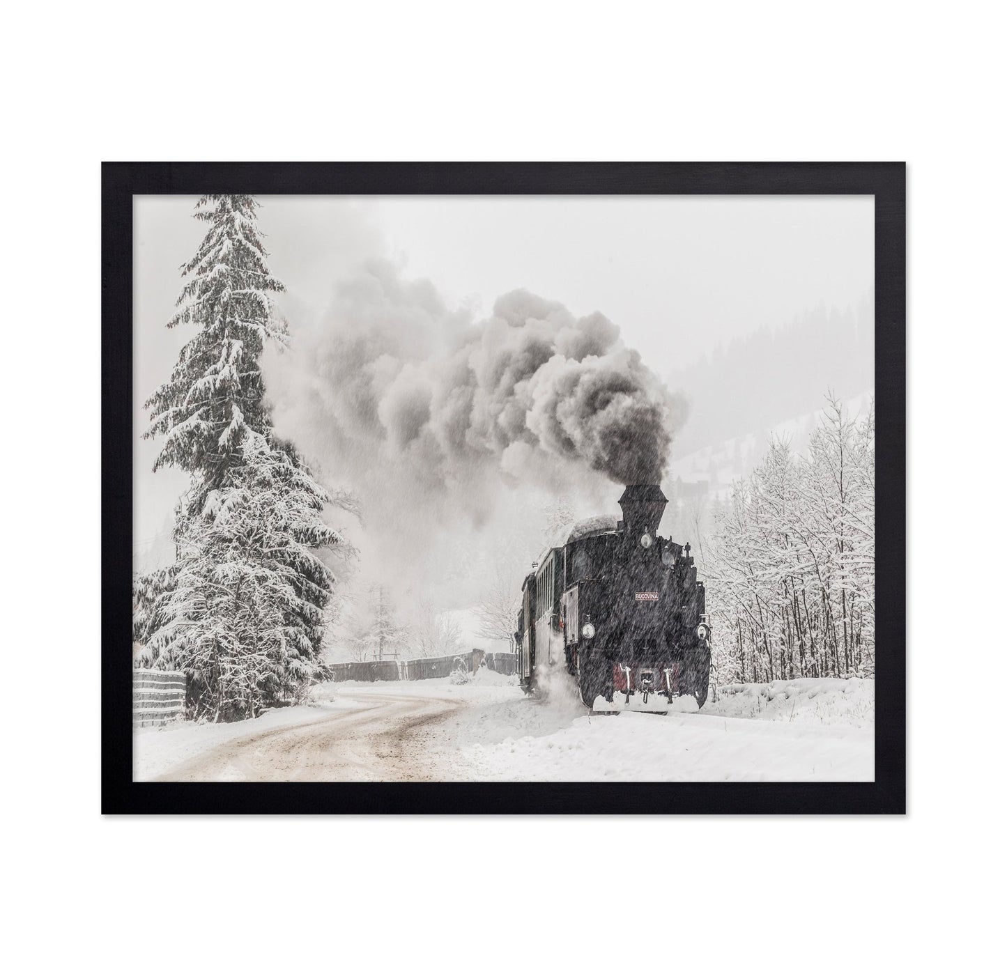 Snow Steam Journey