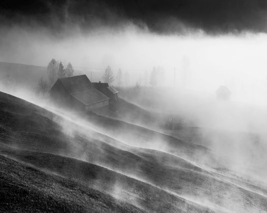 Foggy Hills Cabin