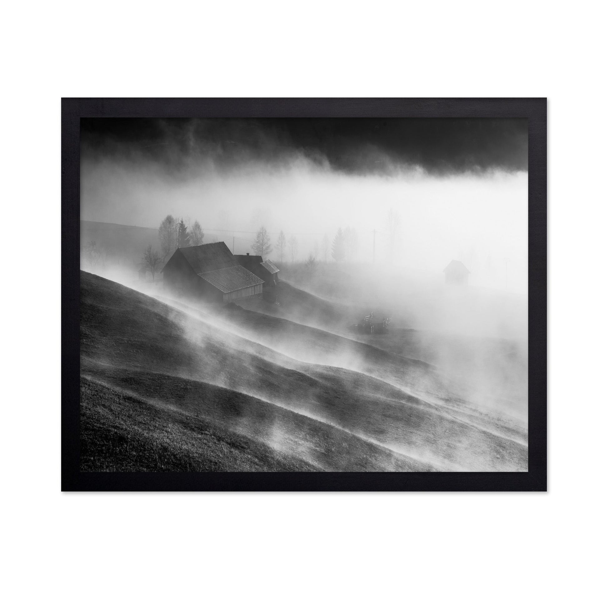 Foggy Hills Cabin
