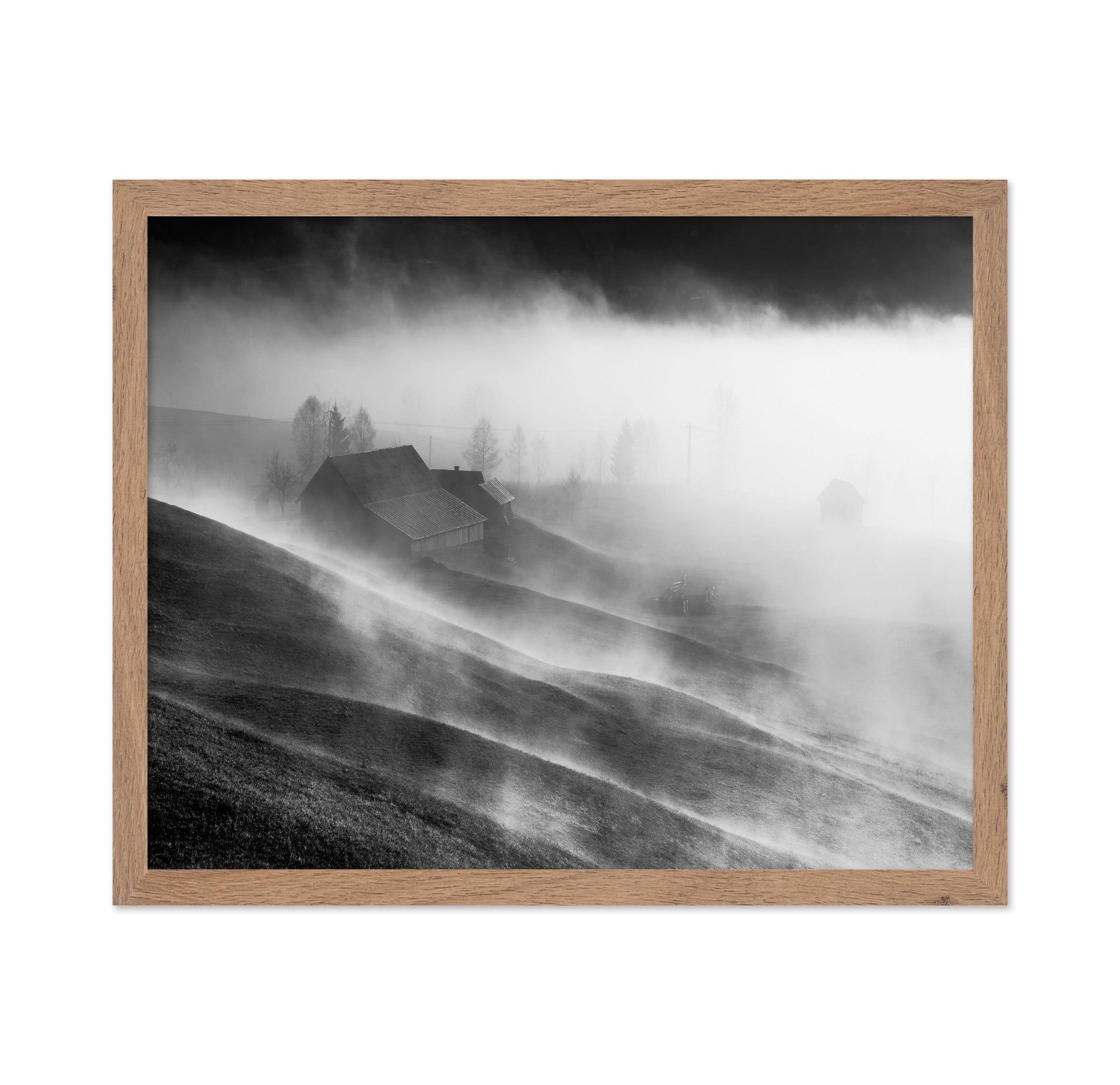Foggy Hills Cabin