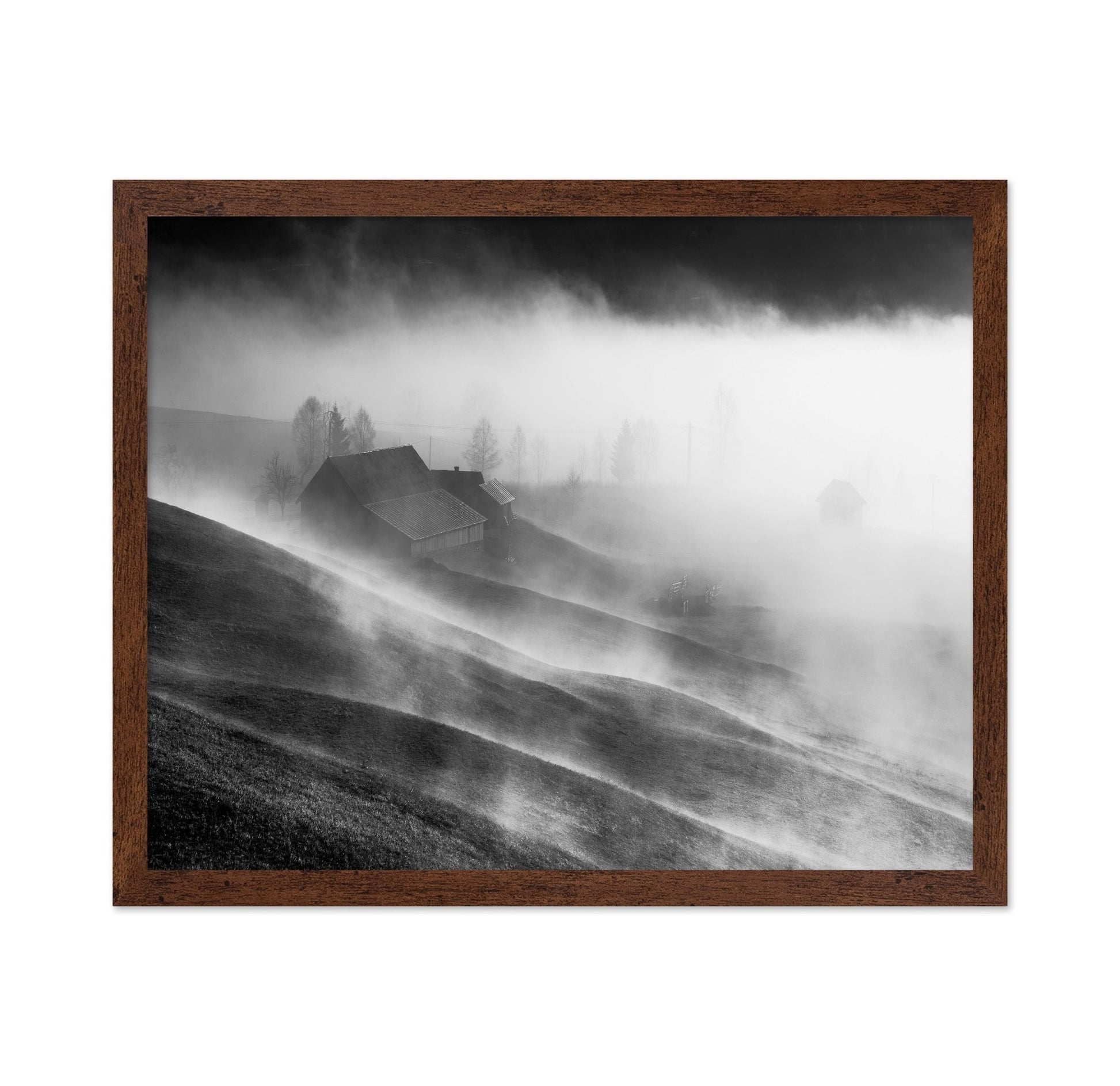 Foggy Hills Cabin