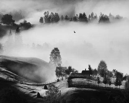 Misty Hills Flight