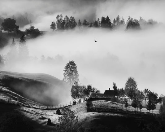 Misty Hills Flight