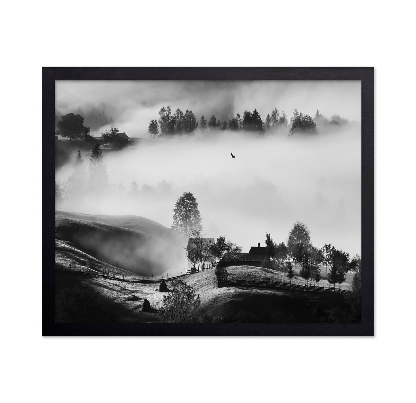 Misty Hills Flight