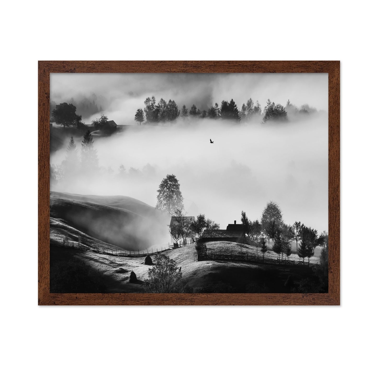 Misty Hills Flight
