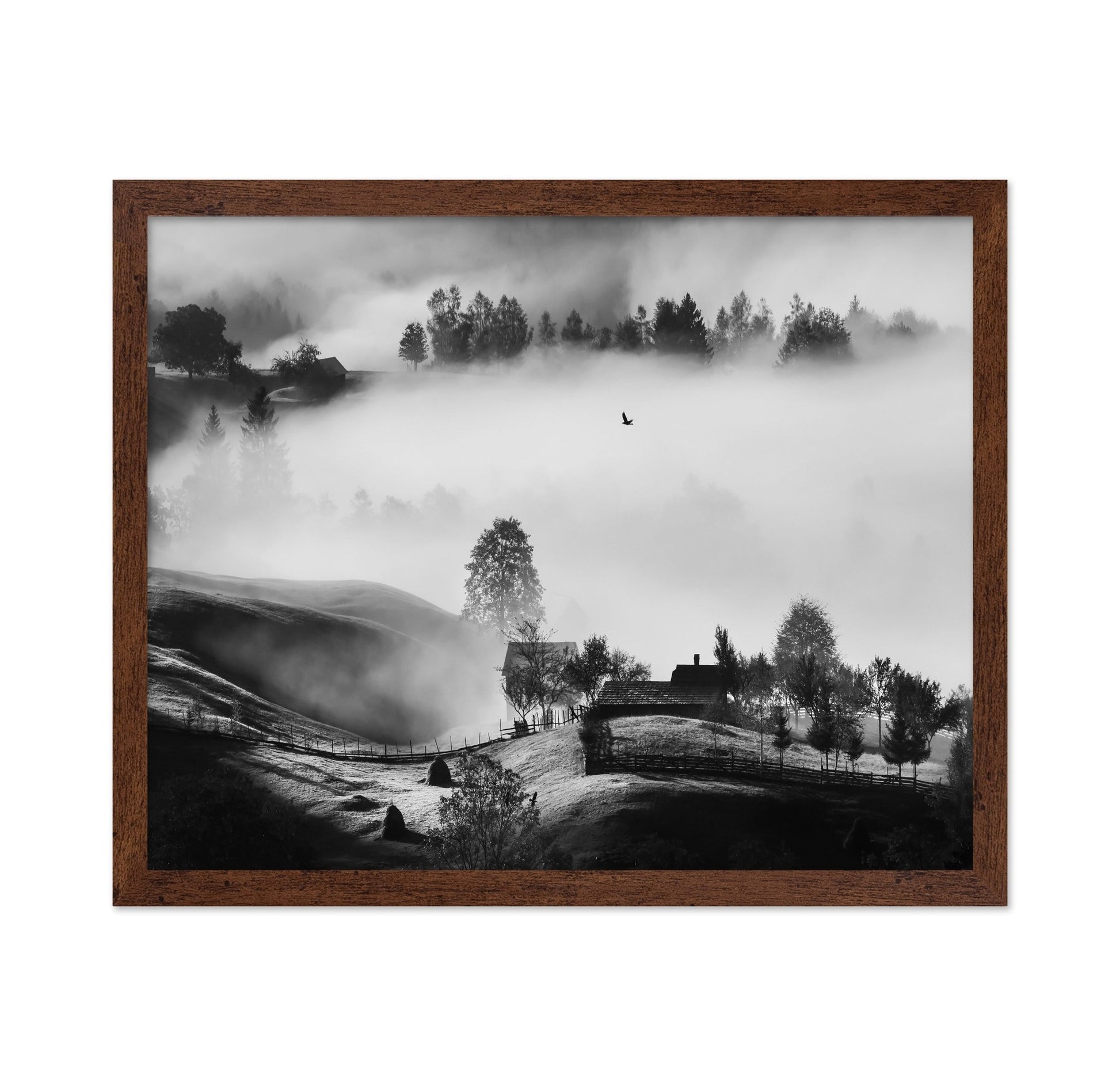 Misty Hills Flight