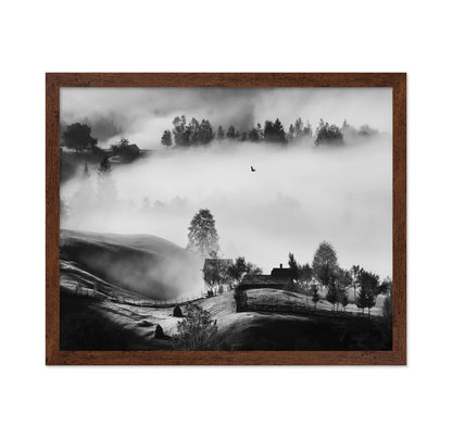 Misty Hills Flight