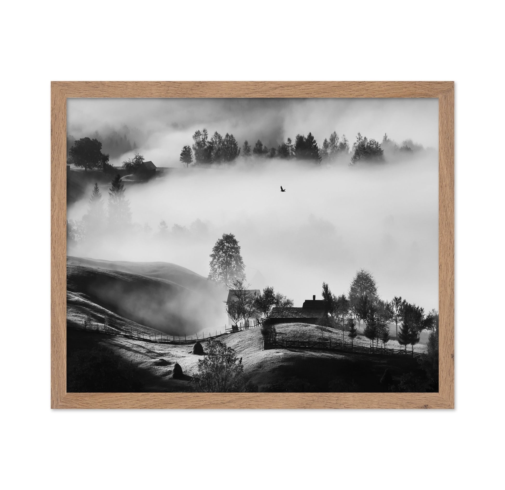 Misty Hills Flight