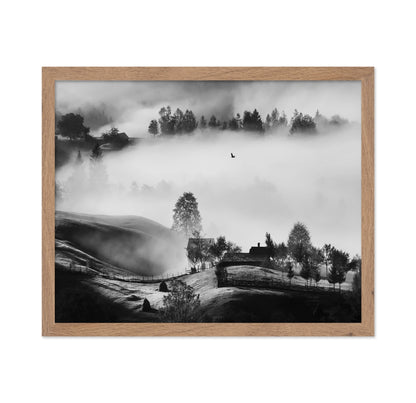 Misty Hills Flight