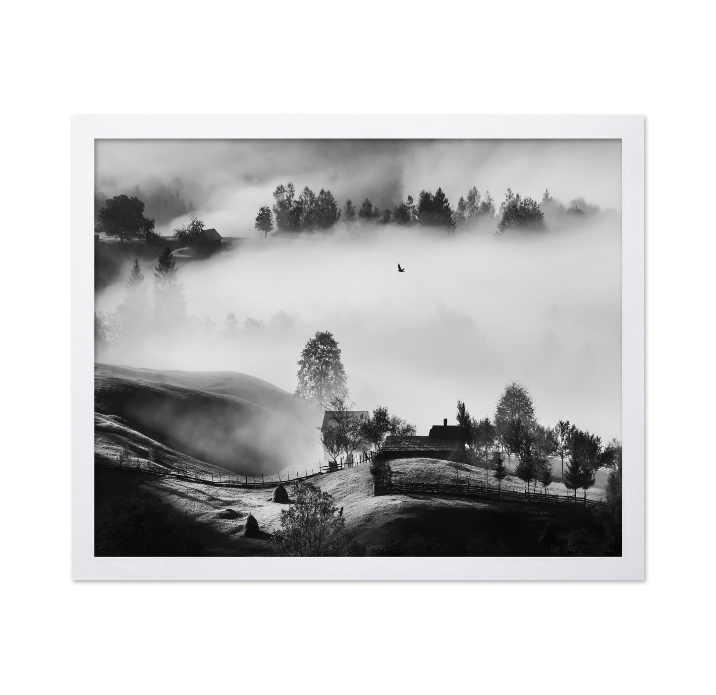 Misty Hills Flight