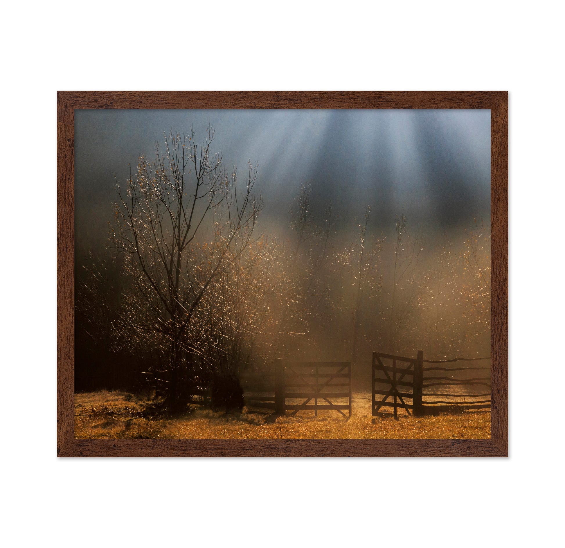 Golden Morning Gate