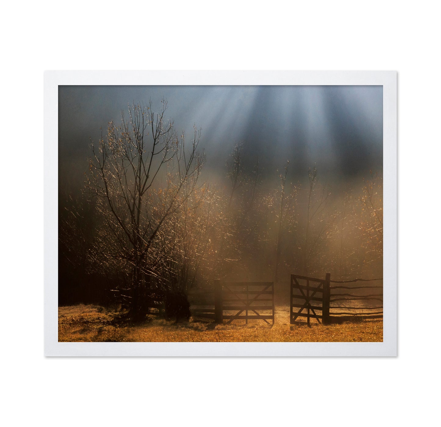 Golden Morning Gate