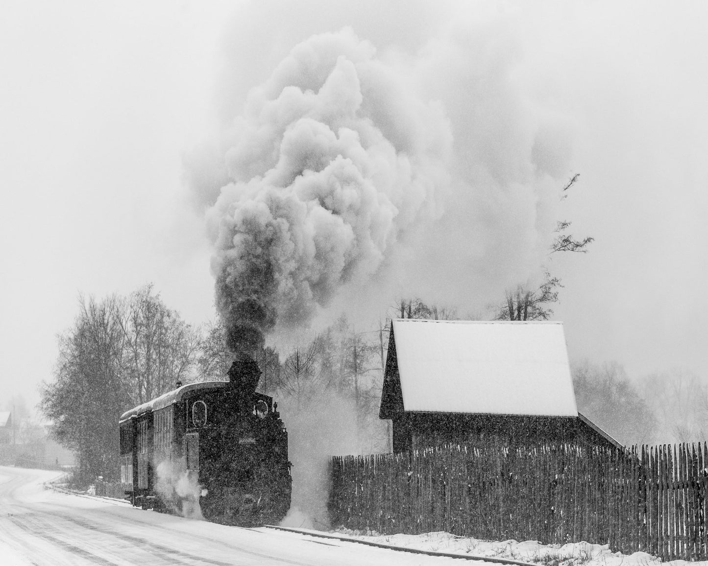 Steam Train Snow