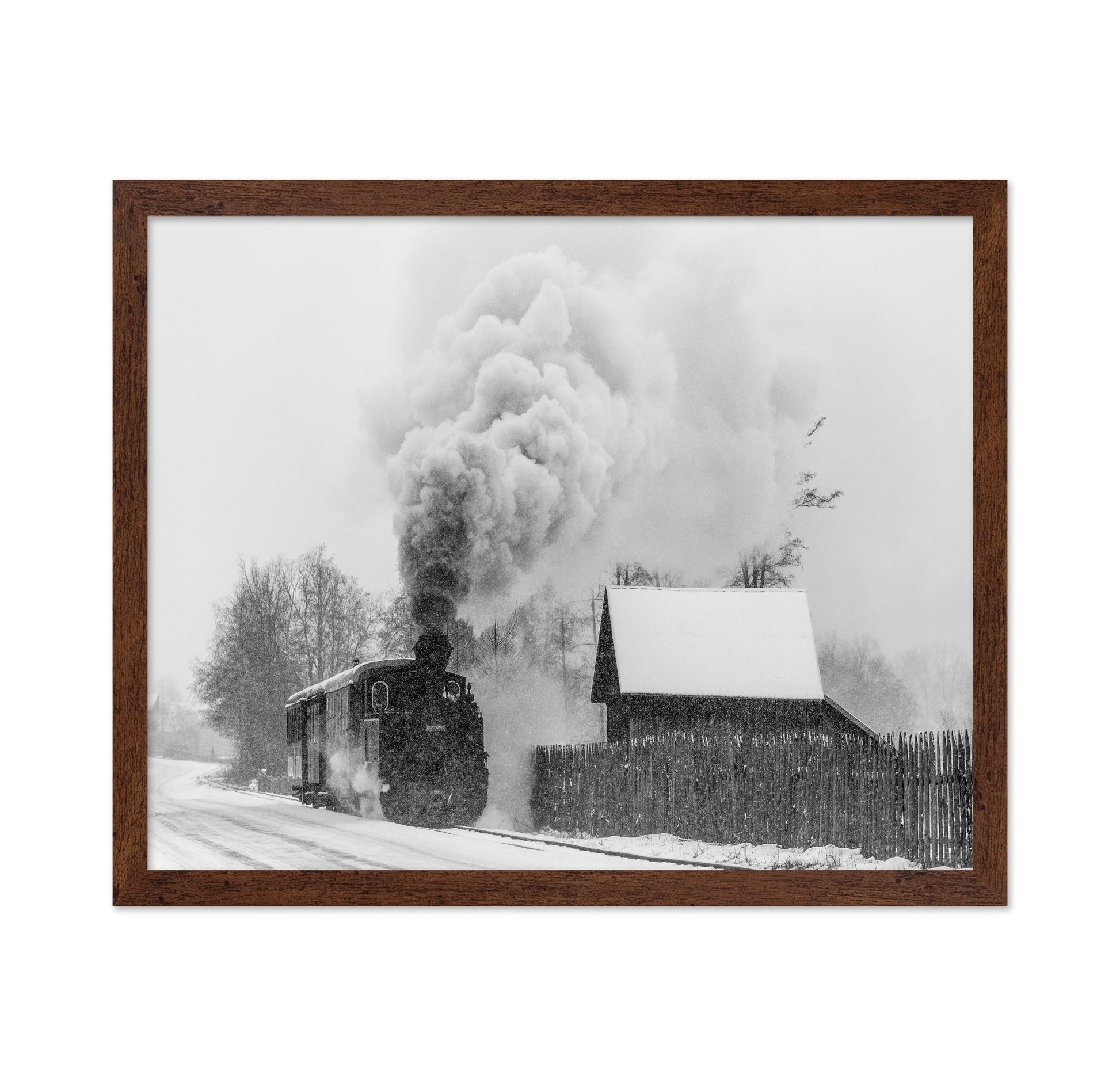 Steam Train Snow