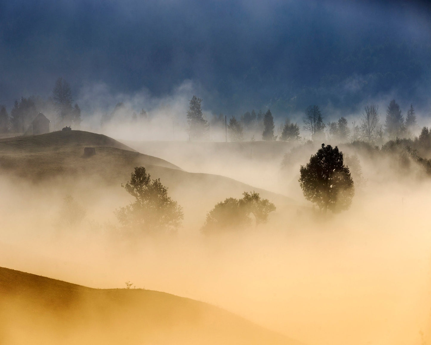Golden Mist Hills No2