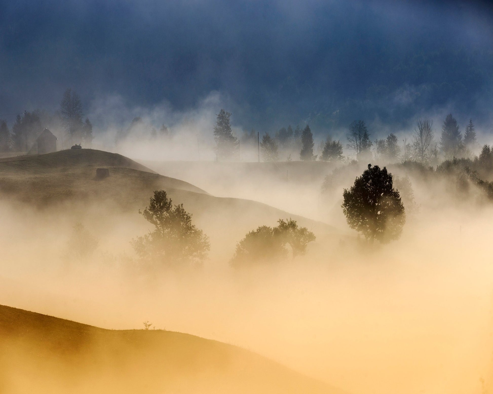 Golden Mist Hills No2