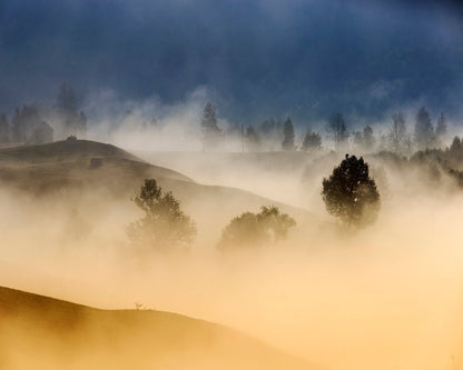 Golden Mist Hills No2