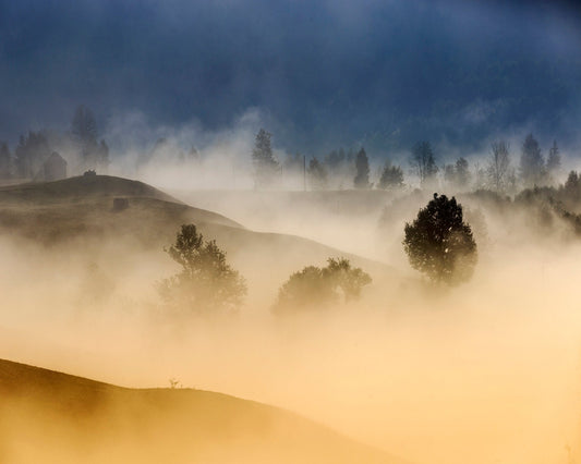 Golden Mist Hills No2
