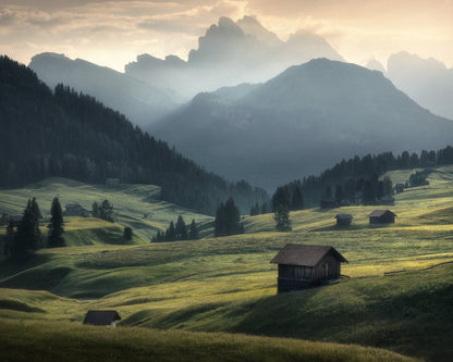 Misty Mountain Meadow