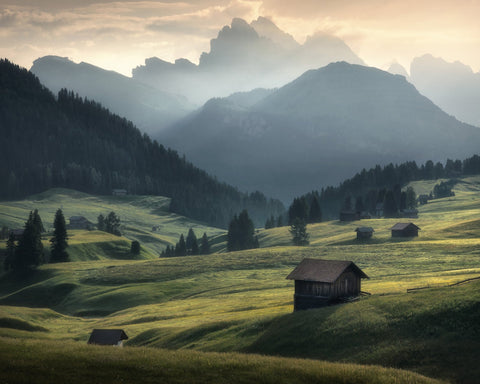 Misty Mountain Meadow