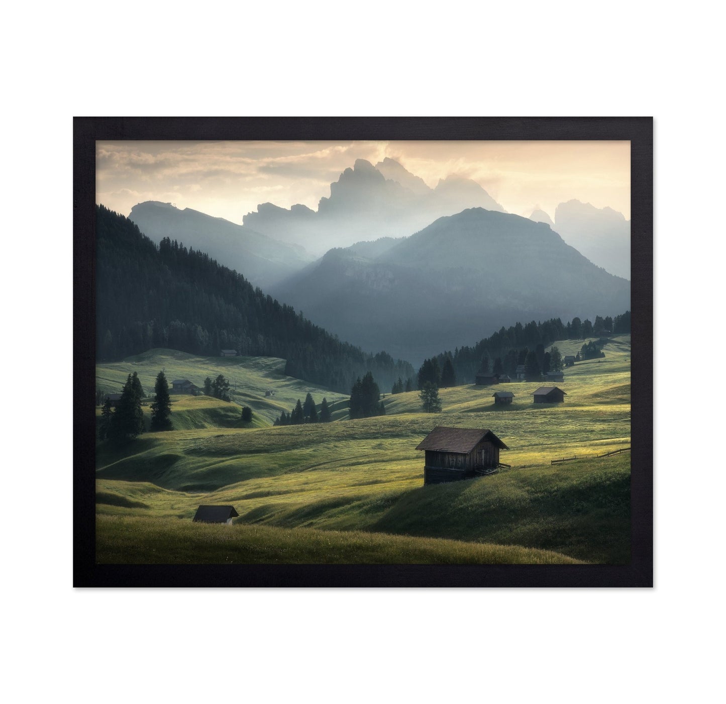 Misty Mountain Meadow