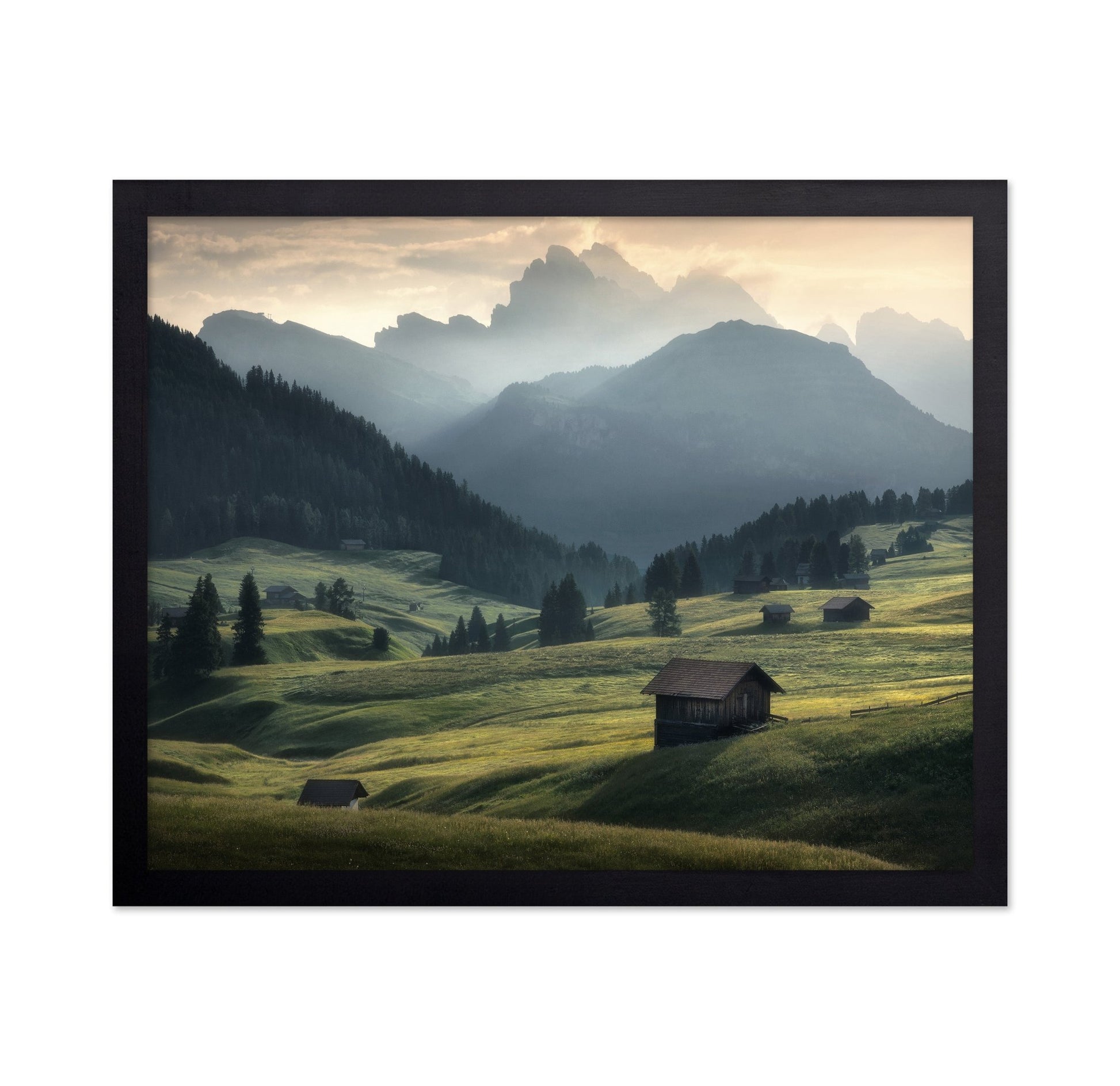 Misty Mountain Meadow