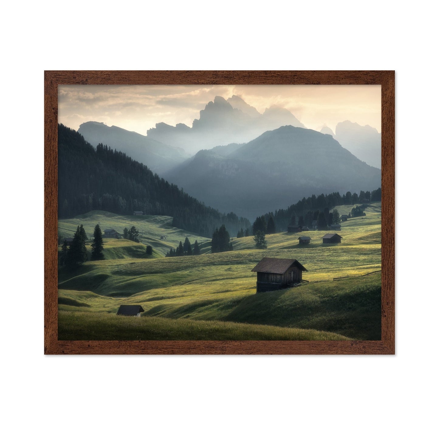 Misty Mountain Meadow