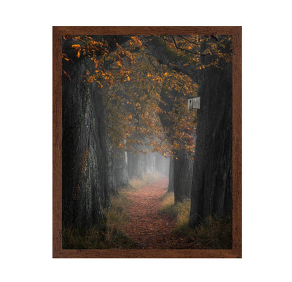 Autumn Forest Path No3