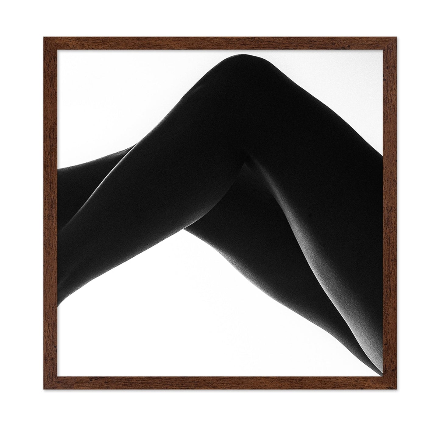 Elegant Leg Silhouette