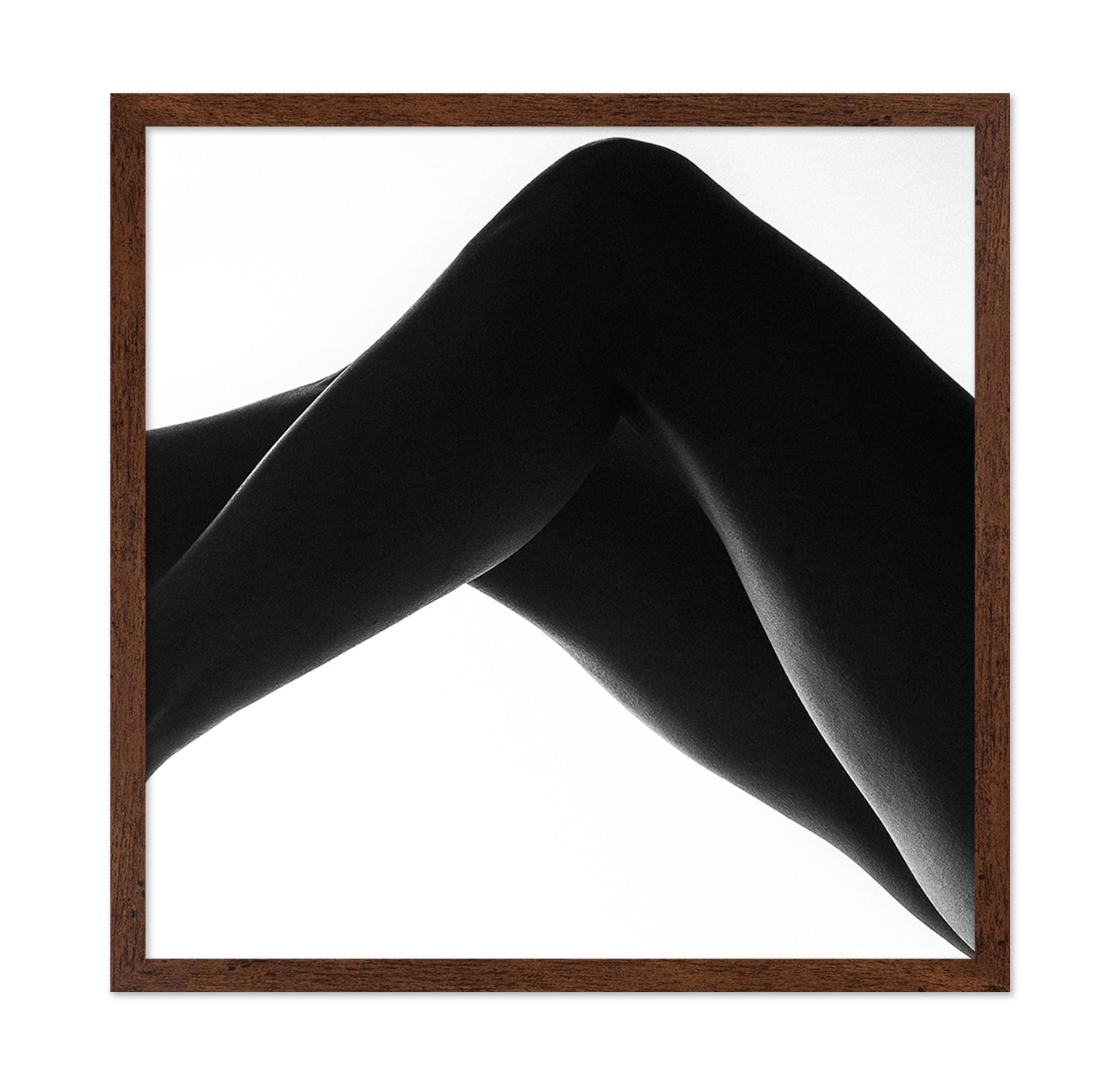 Elegant Leg Silhouette