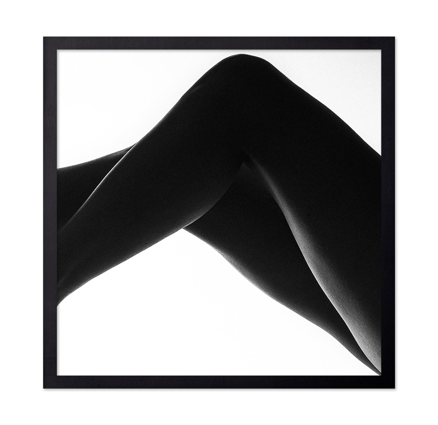 Elegant Leg Silhouette