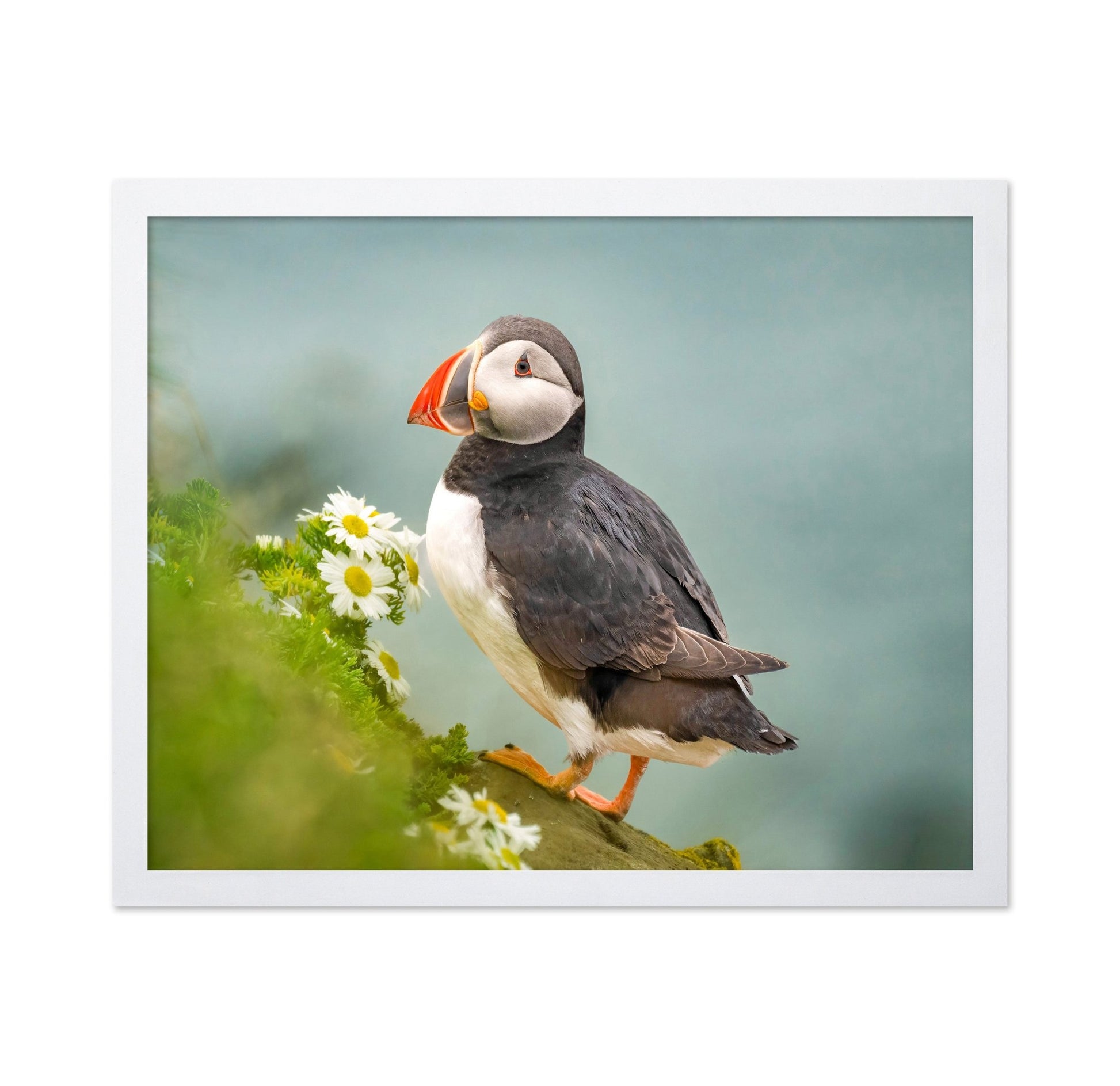 Puffin Floral Perch