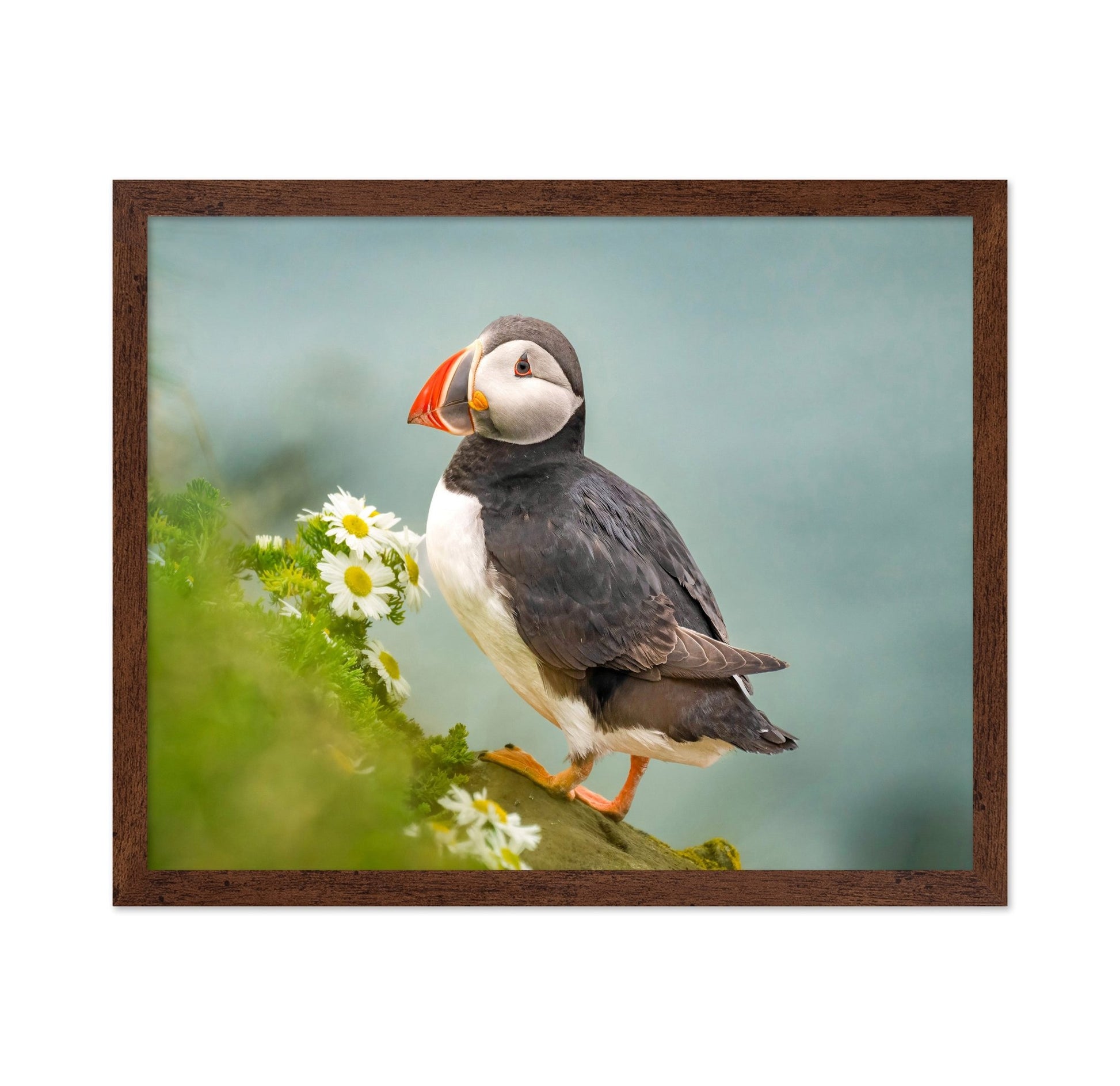 Puffin Floral Perch