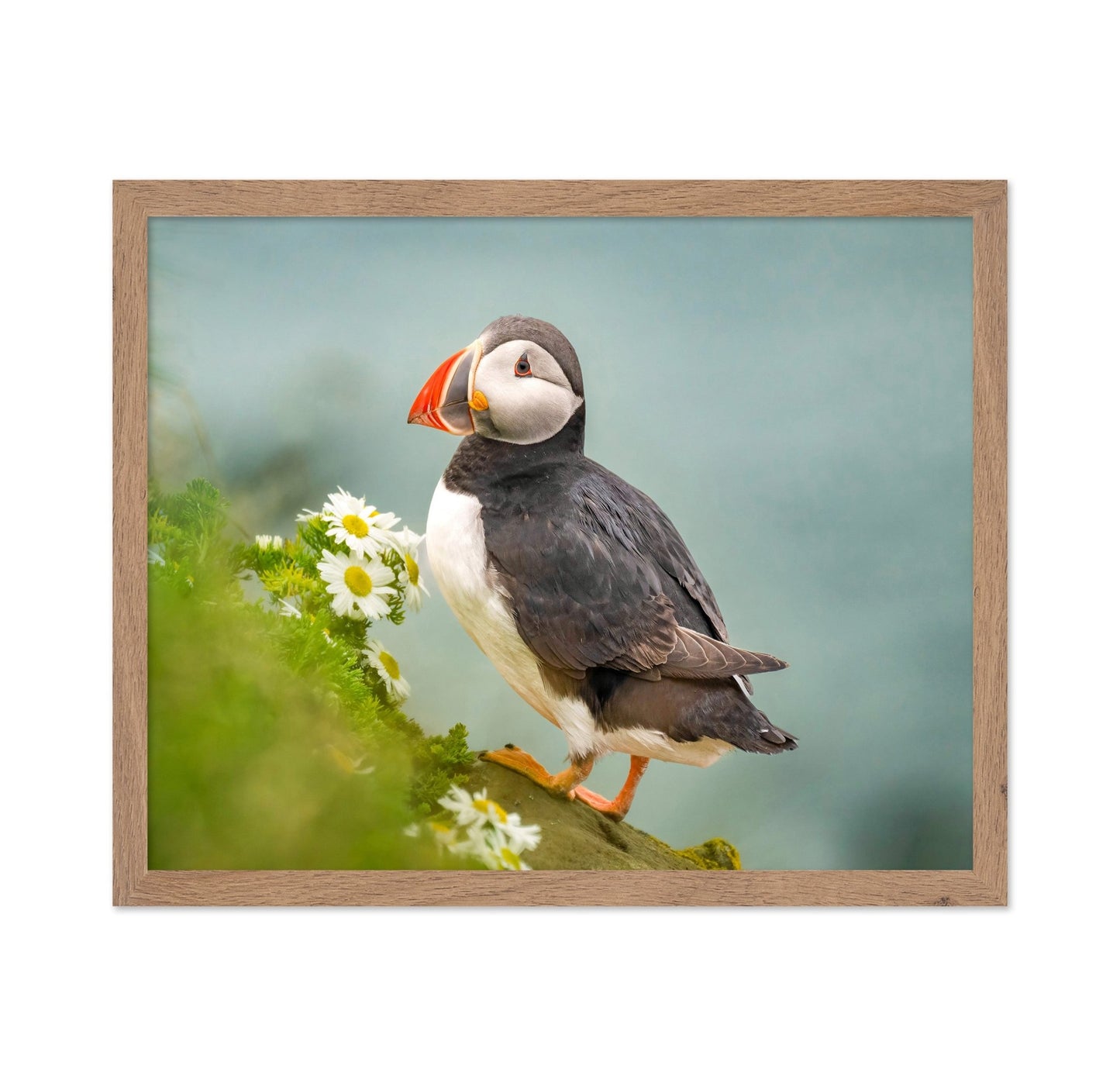 Puffin Floral Perch