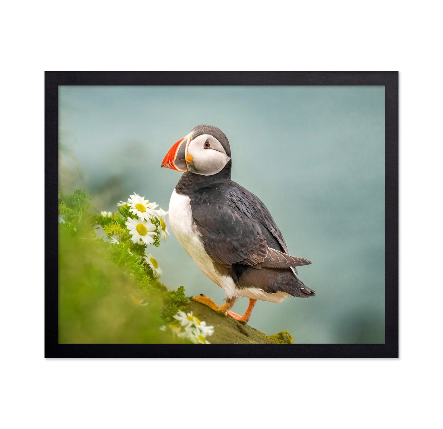 Puffin Floral Perch