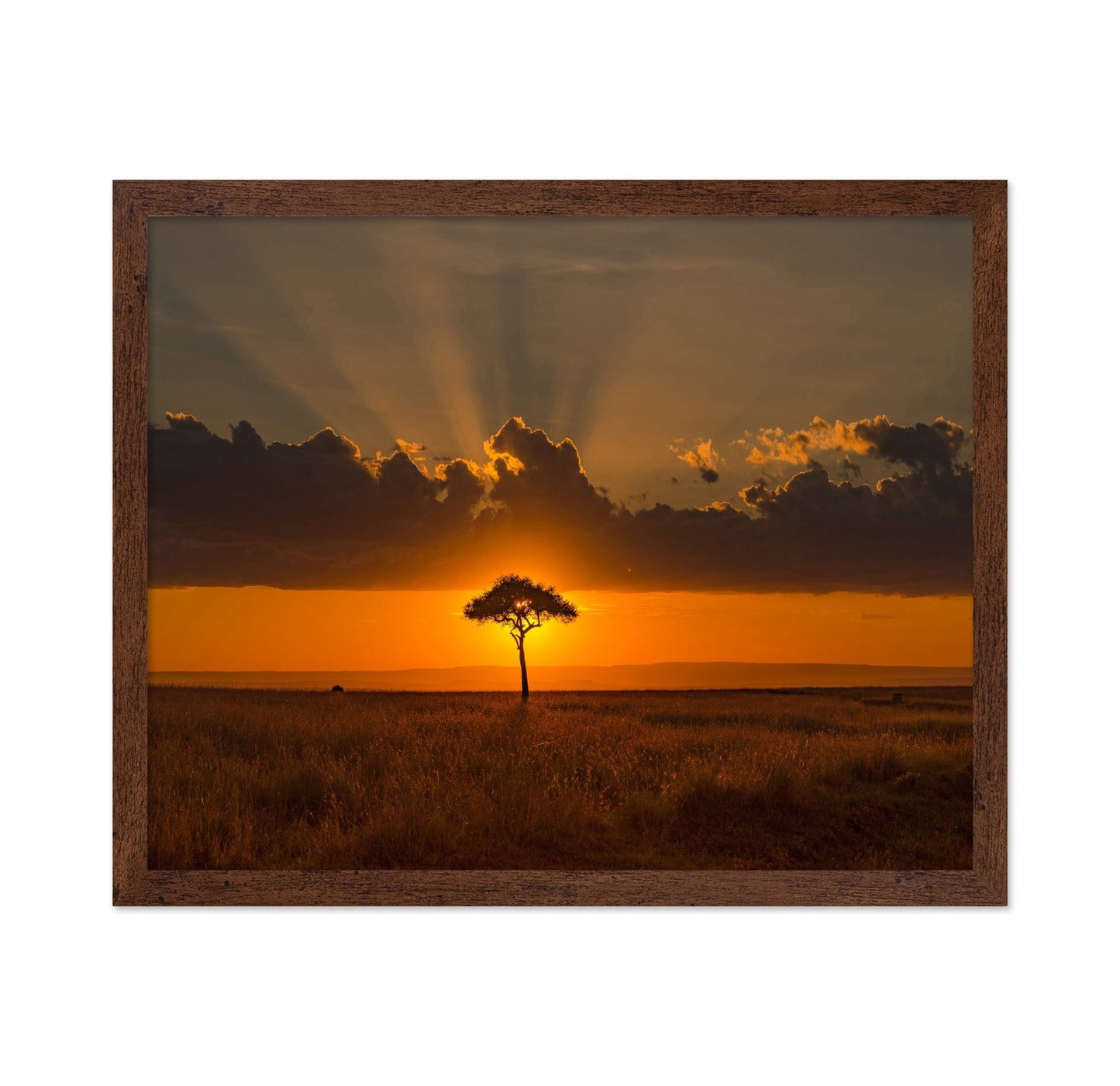 Golden Tree Horizon