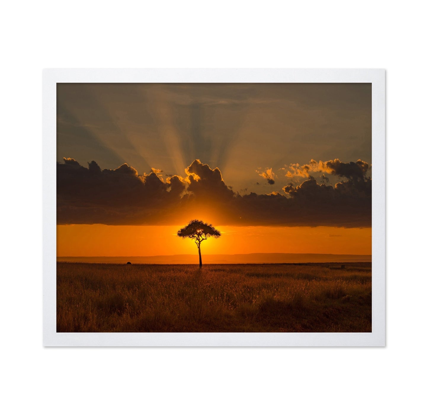 Golden Tree Horizon