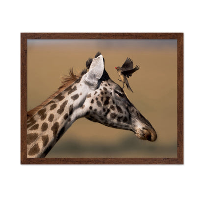 Giraffe Bird Moment