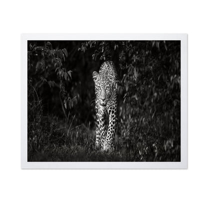 Leopard Silent Approach